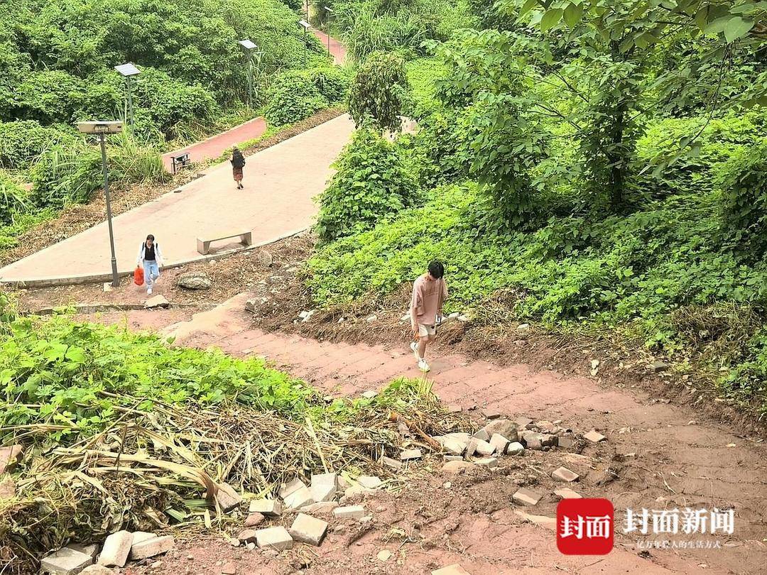 重庆一小区居民为方便赶地铁自发修路 南岸区住建委：已收到反映，正推进处理