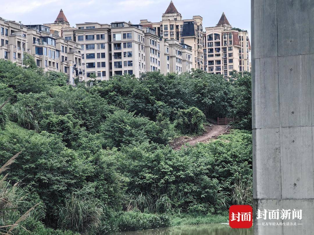 重庆一小区居民为方便赶地铁自发修路 南岸区住建委：已收到反映，正推进处理