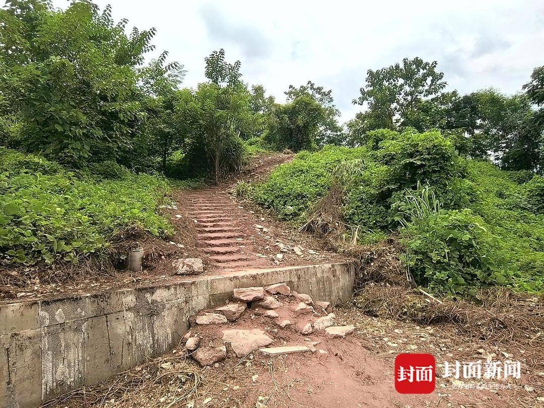 重庆一小区居民为方便赶地铁自发修路 南岸区住建委：已收到反映，正推进处理