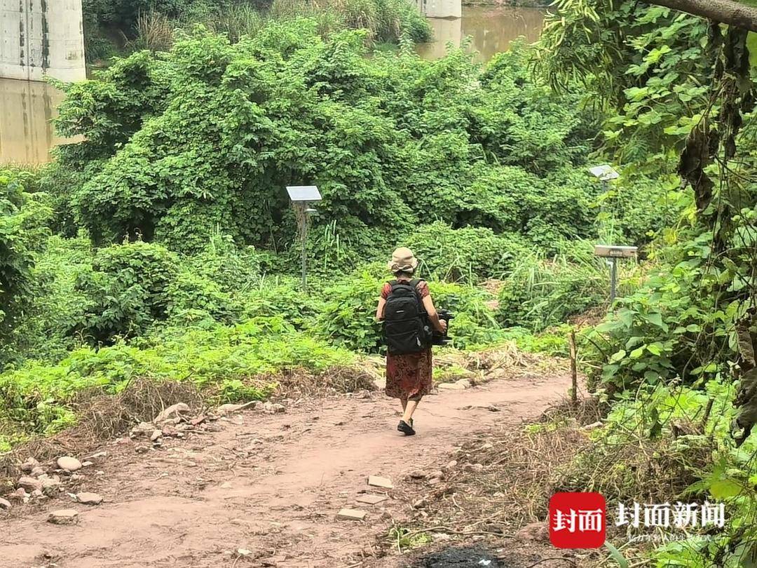 重庆一小区居民为方便赶地铁自发修路 南岸区住建委：已收到反映，正推进处理