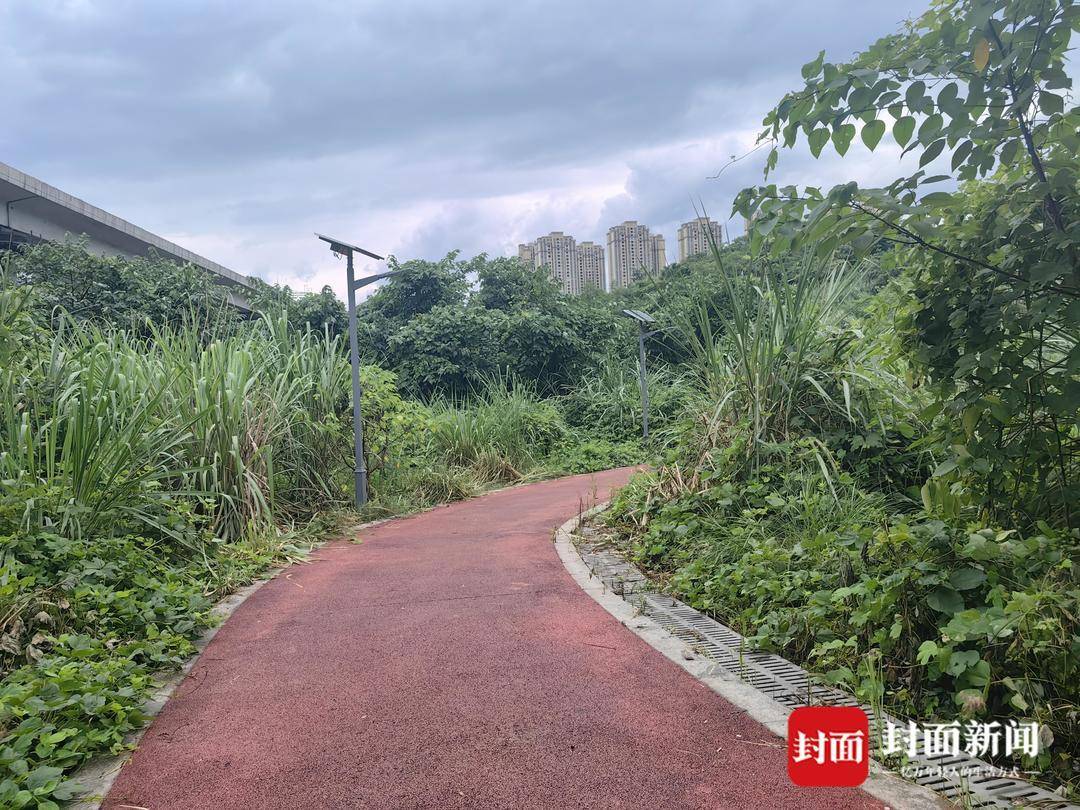 重庆一小区居民为方便赶地铁自发修路 南岸区住建委：已收到反映，正推进处理