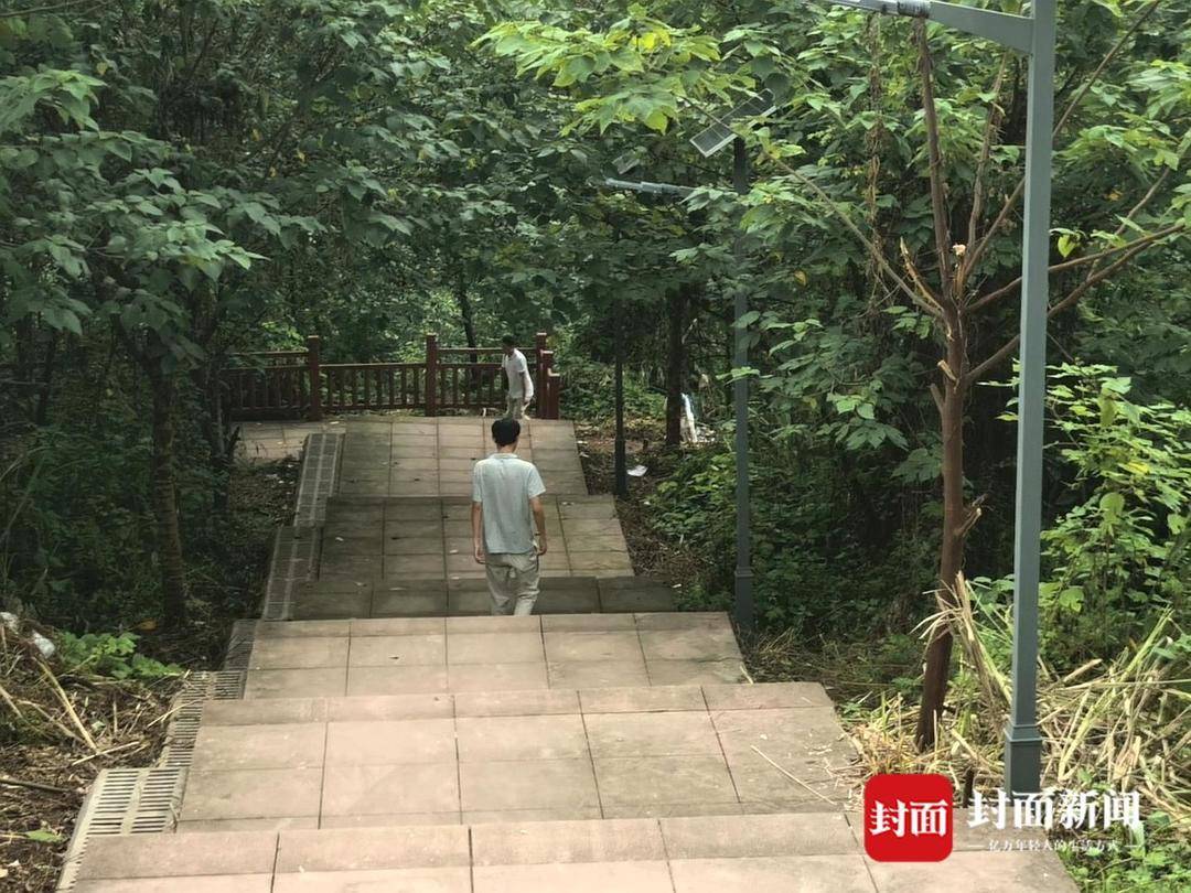 重庆一小区居民为方便赶地铁自发修路 南岸区住建委：已收到反映，正推进处理
