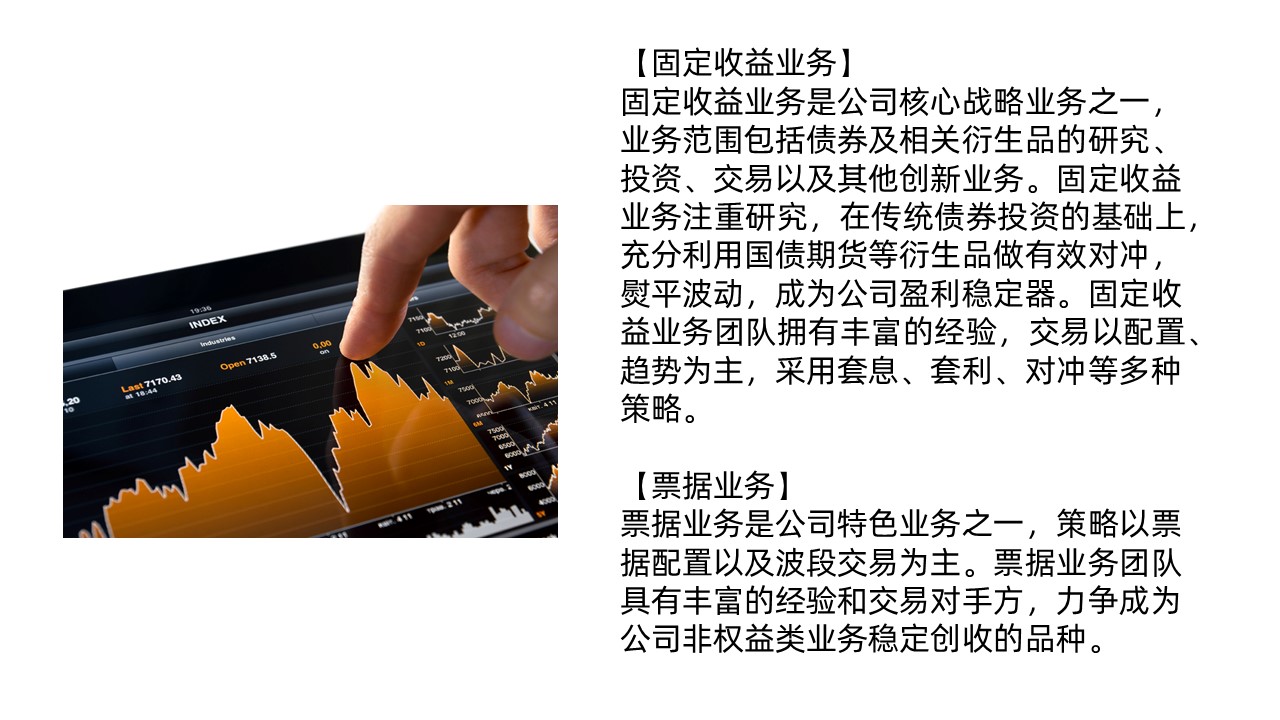 固定收益类证券(固定收益类证券投资业务)