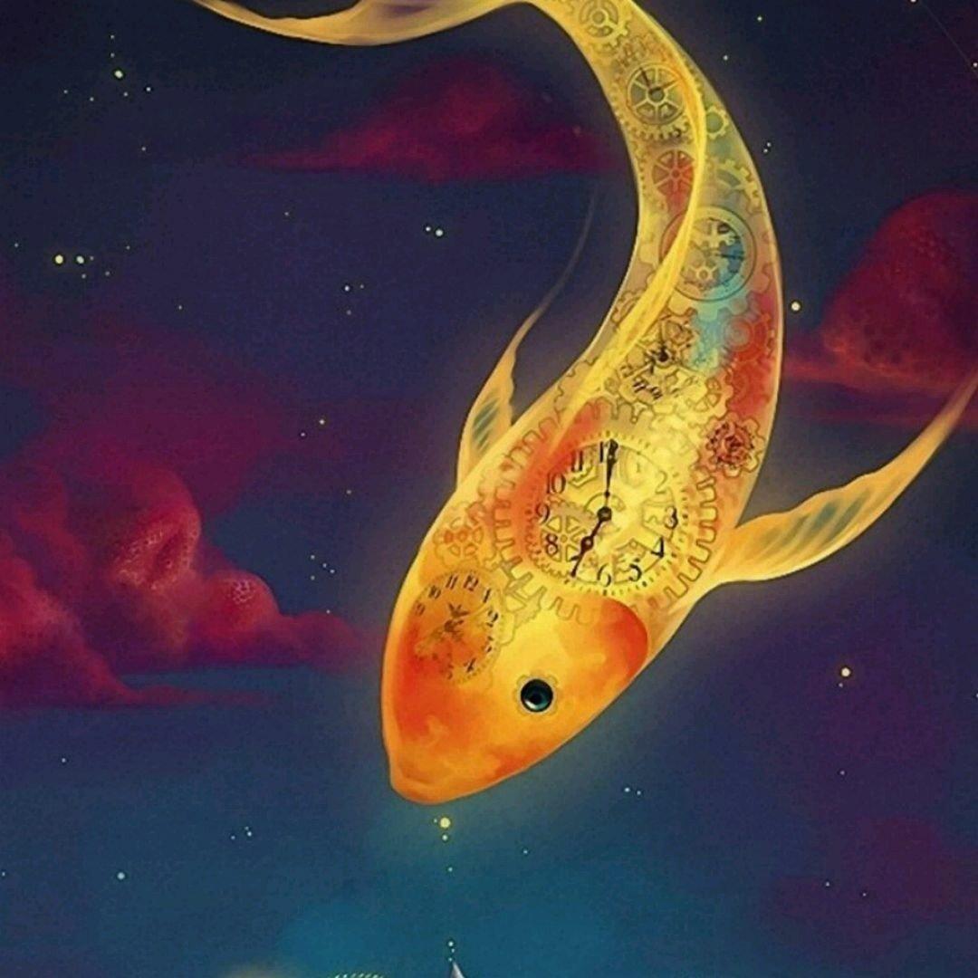 美豹证券(美豹金融可靠吗)