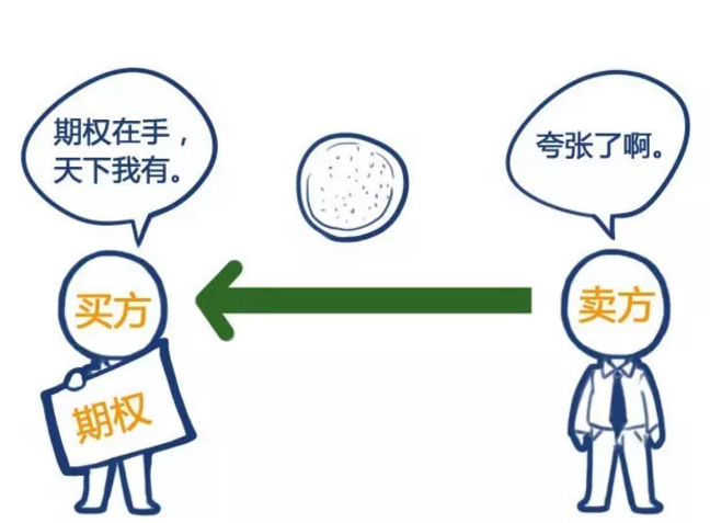 期权(期权交易平台)