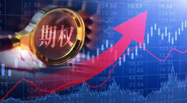 华泰证券期权(华泰证券期权模拟交易软件)
