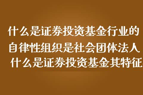 证券自律(证券自律组织哪三个)