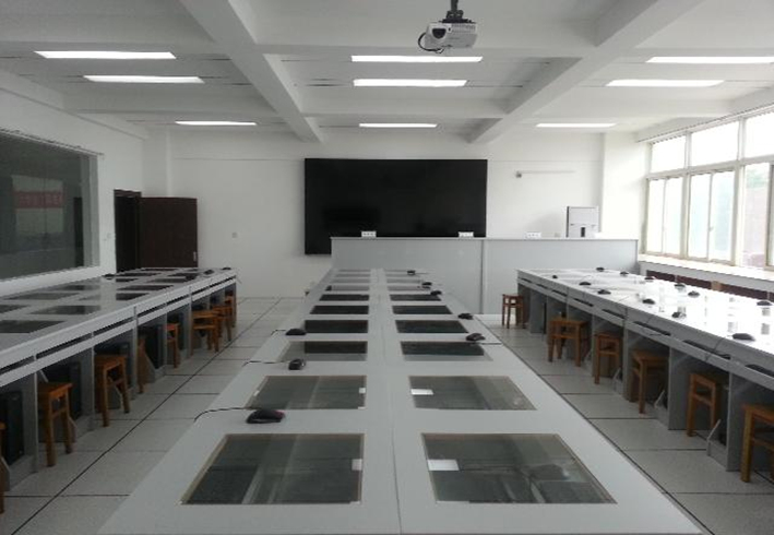 证券投资实训(证券投资实训心得体会)