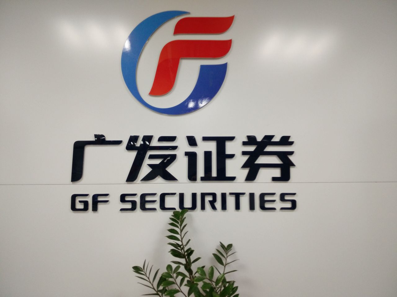 柳州证券(柳州证券公司详细地址)