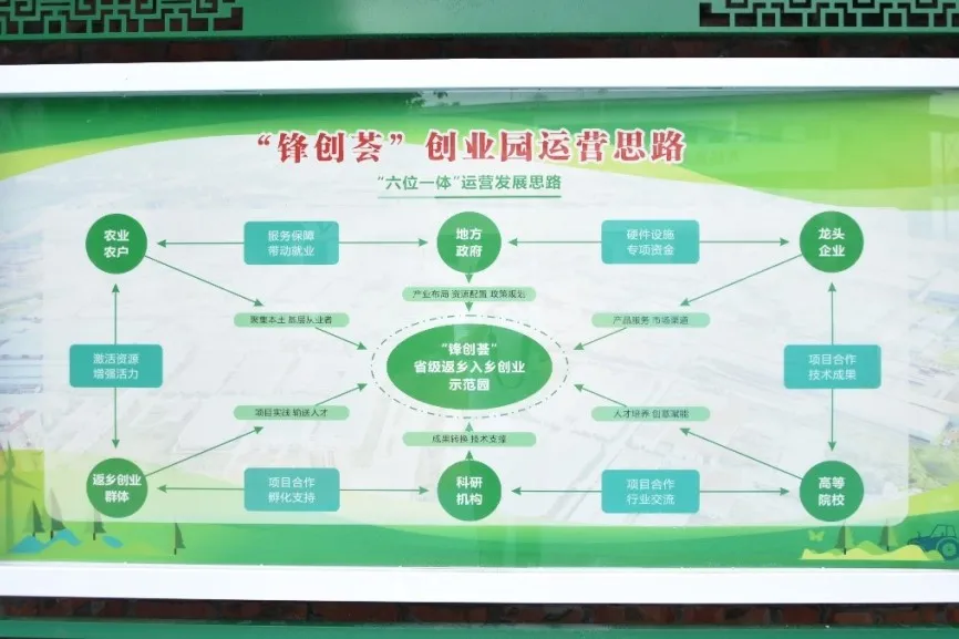新手学院(新手学股票从哪里开始)