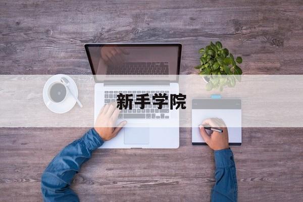 新手学院(初学者新手叫什么)